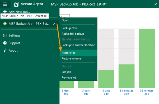How to - Restore Files with Scout for Veeam Agent for Windows - Screenshot 2